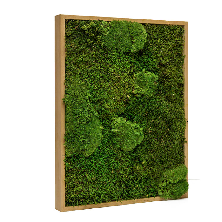 Mosschilderij Lappenmos-Bolmos 30x40 cm Eikenhout - Boras