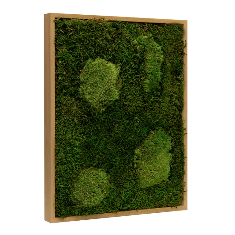 Mosschilderij Lappenmos-Bolmos 40x60 cm Eikenhout - Viborg - Zijkant