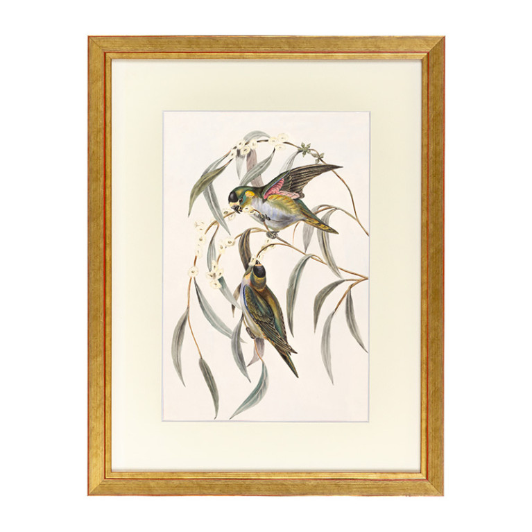 Fotolijst Tropez Goud 70x100 cm - Art Print en Passe Partout