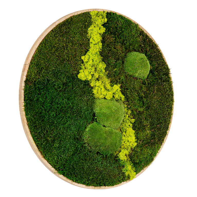 Mos Schilderij Rond 80 cm Ongelakt Eiken Uppsala Lentegroen - Zijaanzicht