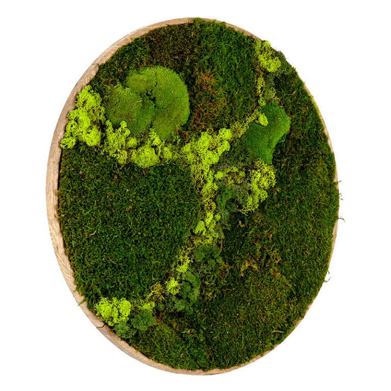 Mos Schilderij Rond 60 cm Ongelakt Eiken Svendborg Lentegroen - Zijaanzicht