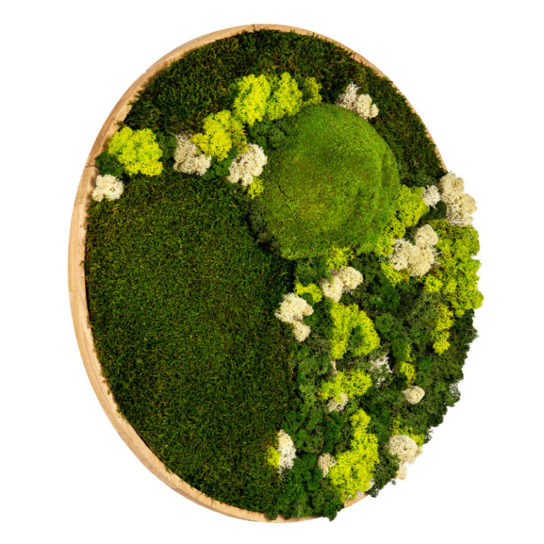 Mosschilderij Rond 100 cm Ongelakt Eiken - Floro - Zijaanzichy