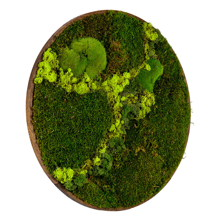 Mosschilderij Rond 20 cm Donker Acaciahout - Svendborg Lentegroen
