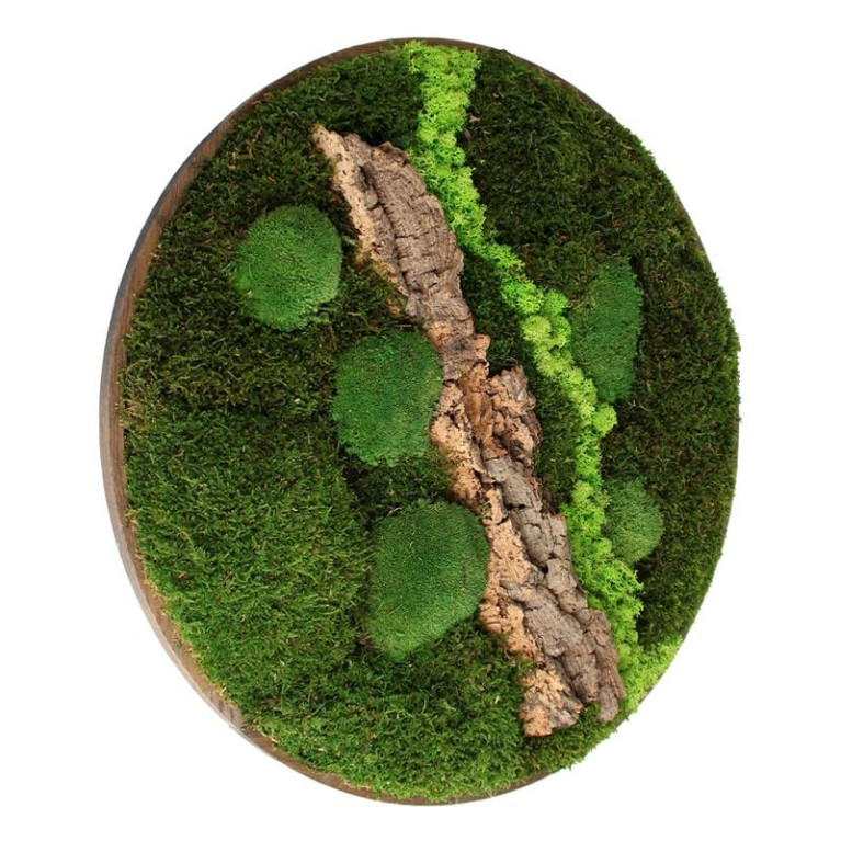 Vintlux Mosschilderij Rond 40 cm Donker Eiken - Selfjord