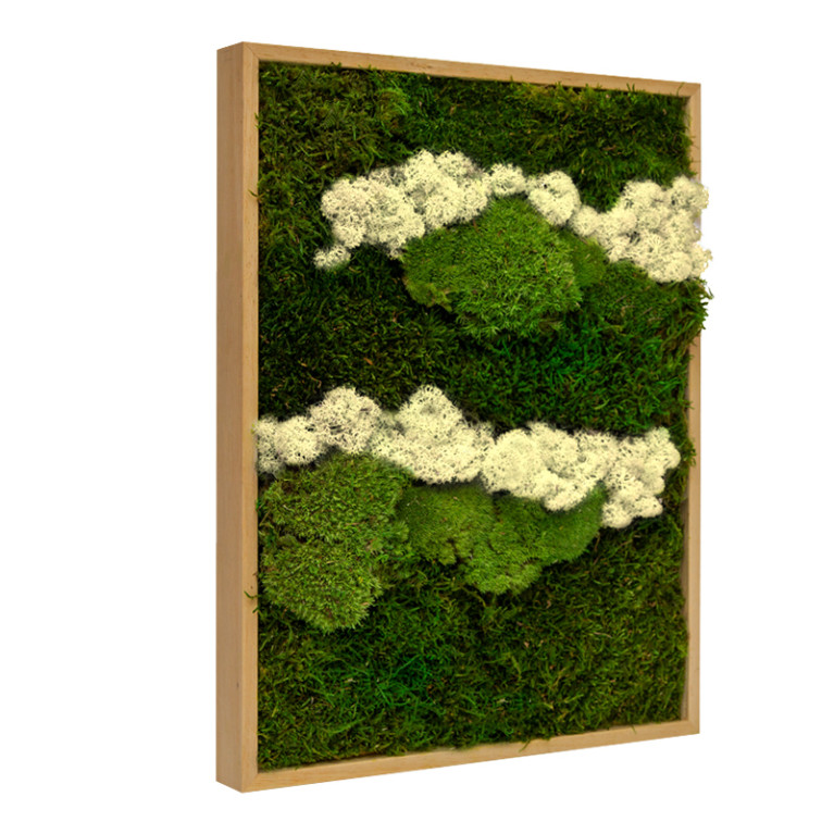 Mosschilderij Lappenmos-Rendiermos-Bolmos 30x40 cm Eikenhout - Skive Latte