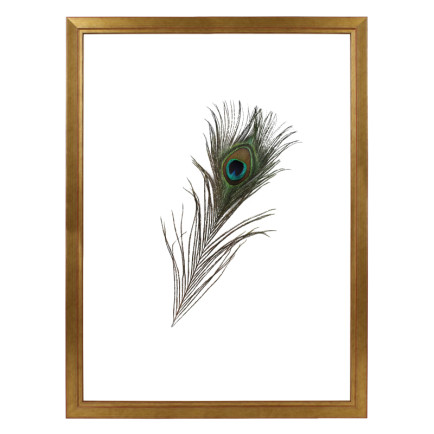 Fotolijst Dubbelglas  Tropez